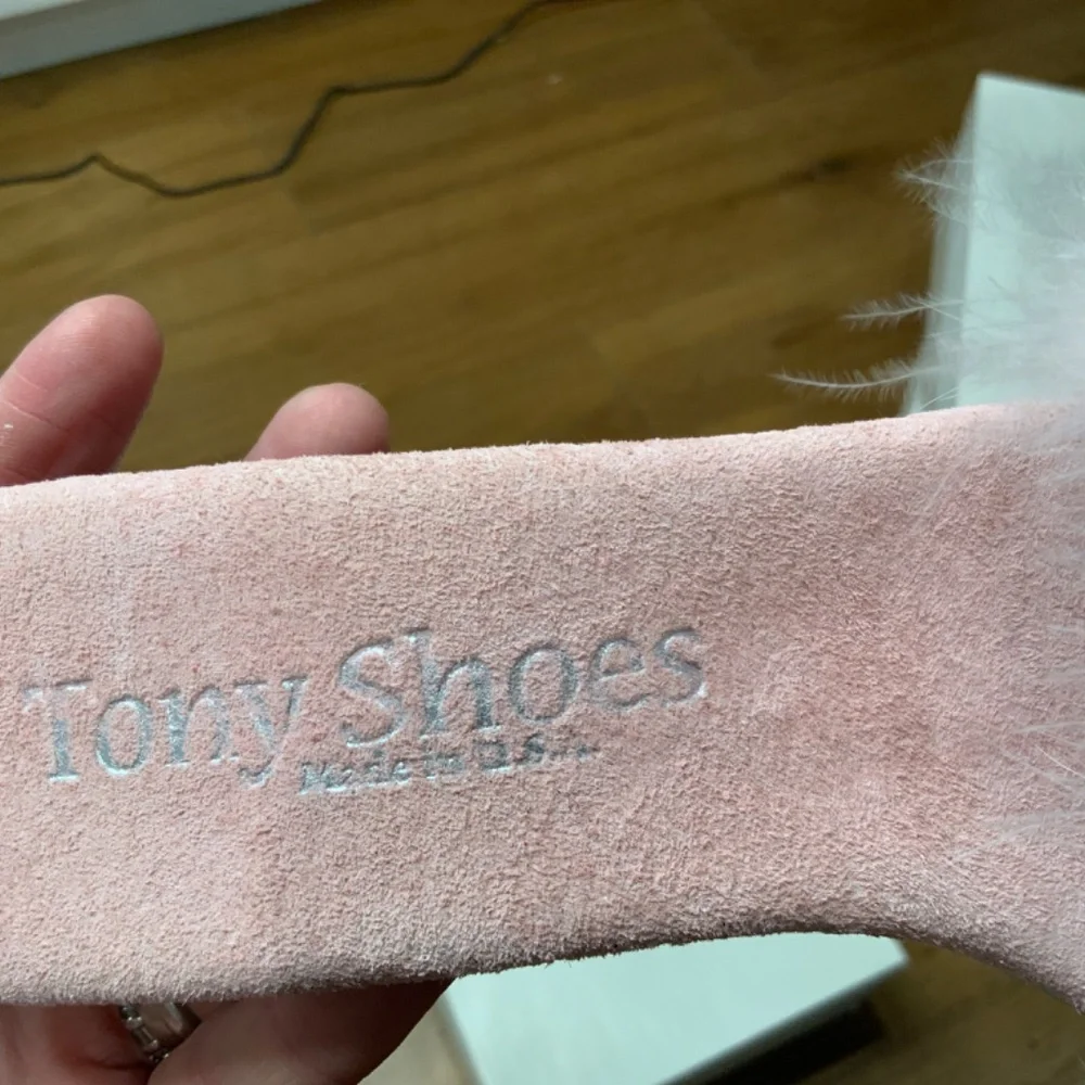 Tony Shoes Pale Pink and Clear Marilyn Heels